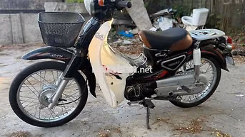 Honda Cub 50 2021 Đen, Trắng