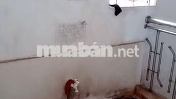 Cho thuê phòng trọ khép kín 40m2 Cầu Diễn