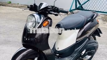 Yamaha Classico Nâu biển tp