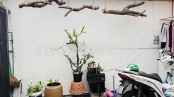 🎋Không đối thủ gần mặt tiền Xuyên Tâm - 80m² đất - ngay HV Cán Bộ - ch