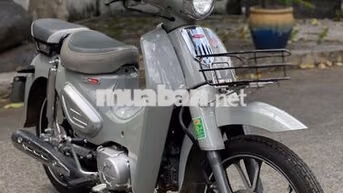 YALIM Cup 50 2026 Xám Mới