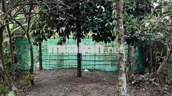 Đất vườn gần một công tại Cần Thơ