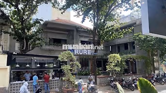 CHO THUÊ BIỆT THỰ SÂN VƯỜN 400m2 TÂN ĐỊNH QUẬN 1