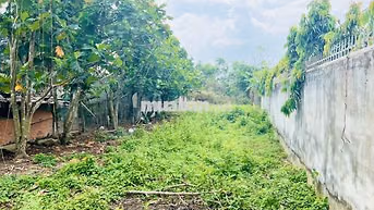 BÁN GẤP 108M2 THỔ CƯ Ở ĐƯỜNG LIÊU BÌNH HƯƠNG GIÁ CHỈ 1 TỶ -SHR