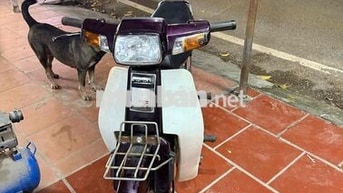 Honda Dream Việt 2013 Tím Trắng