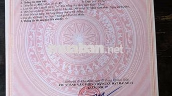 🚩 CẦN BÁN GẤP - XUÂN THỚI SƠN HÓC MÔN - HH 2%