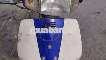 Kawasaki Max II Tím Xe nhật