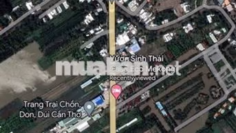 🔥 CHÍNH CHỦ BÁN GẤP ĐẤT MT QL91B GẦN 3.000M² – CHỈ 5TR/M²