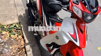 bán yaz giấy rin có gốc giá rẻ