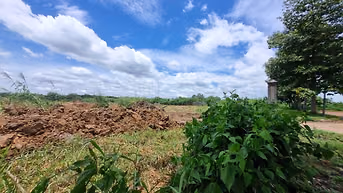 Bán 10.000m² Đất KCN Thủ Thừa Long An - Giá 145 USD/m²