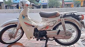 Honda Cup 50cc 2022 Trắng