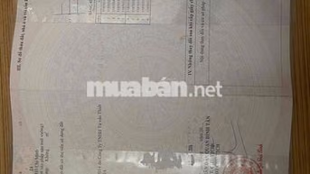 🌺🌺Cần bán nhà MT đường 12m Bùi tư toàn - An lạc 💰💰Giá bán : 5,4 tỷ TL