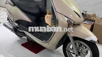 Honda Lead 2011 Vàng kem