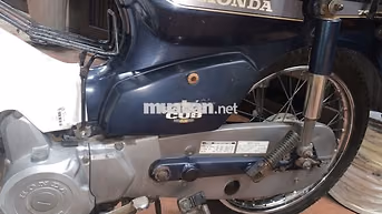 Cúo nhật 8270 nguyên zin chất