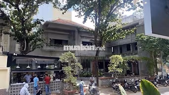 Quán cafe sân vườn giữa trung tâm Sài Gòn không gian cực thoáng