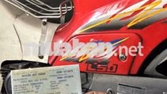 Yamaha Max Neo 50cc Đỏ Trong nước