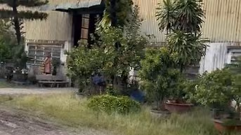 BÁN 10.000M2 KHO XƯỞNG MT TRẦN ĐẠI NGHĨA, HUYỆN BÌNH CHÁNH.