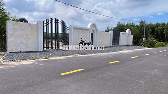 BÁN ĐẤT VƯỜN SẲN TƯỜNG RÀO GẦN 500M2  CHỈ 1Ty580 NGAY QUỐC LỘ 55