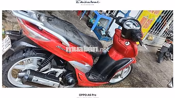 CẦN BÁN SHARK NGUYÊN RIN MỚI KENG