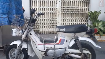 Honda Chaly 81 Trắng