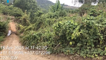 Công ty Đấu giá hợp danh Lam Sơn Sài Gòn thông báo đấu giá tài sản