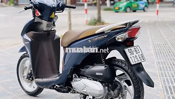 Vision 2020 110cc