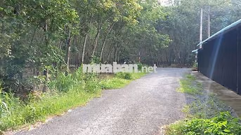 Bán đất đường nhựa 6m, cách Phạm Thị Than 20m, DT 107,3m2 giá 1.5 tỷ