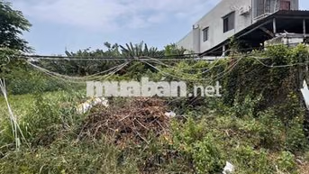 CHÍNH CHỦ GỬI BÁN 250m2 ĐẤT TRUNG TÂM SÁT BIỂN LONG HẢI GIÁ 4TY