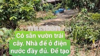 Nhà vườn 600m Có Nhà Điện nước nhà nước  Đường Võ Văn Vân vĩnh lộc B 