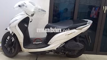 Kymco Candy Trắng 21500 km