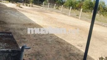 cần bán đất thủ cư.khu vuc gần biển