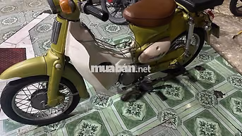 Honda Cub 50cc Xanh lá
