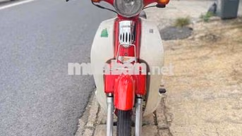 Honda Cub 50cc Đỏ 2024