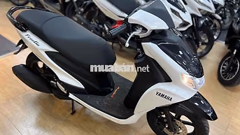 Freego 125 2019 ❇️Đồng Moto Đà Lạt❇️