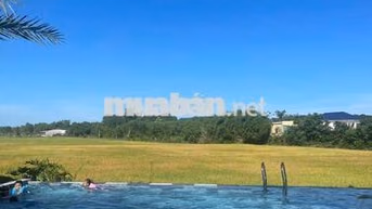 🔥 CHỈ 1 TỶ – 195M² ĐẤT NGAY SAU UBND PHƯỚC HẢI 🔥