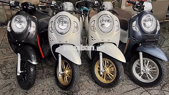 4c scoopy bs65 zin cực đẹp