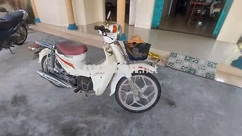 Honda Cub 50cc Trắng Xe số