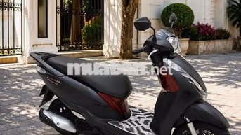 Honda Lead 2019 Đặc biệt Đen nhám