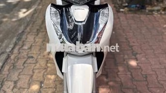 Honda SH Trắng