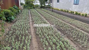 Lô Đất ở Vị Trí Cao - Đẹp (Đường Đồng Khởi 1 xẹc - 200m)