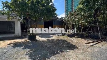 CHO THUÊ KHO, XƯỞNG LINH XUÂN THỦ ĐỨC 250m2