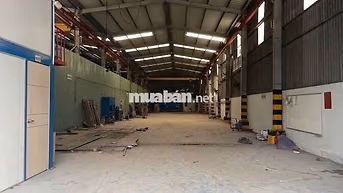 Cần Cho Thuê Nhà Kho Gần Vsip 1. dt: 600m Giá: 40tr, Có Xuất VAT 