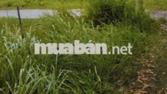 Chính chủ cần bán lô đất gần Trạm Y tế xã Phước Lâm giá 450 triệu/90m2