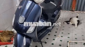 Piaggio Vespa 2013 Xanh đậm