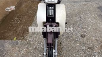 Honda Dream Nâu, Trắng Xe số