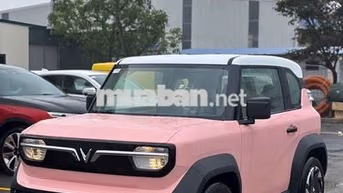 CHỈ 40TR CÓ NGAY VF3 - KO CẦN CHỨNG MINH THU NHẬP
