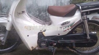 Honda Cub Trắng