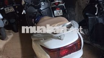 Honda Lead/SCR Fi - 2010 Trắng