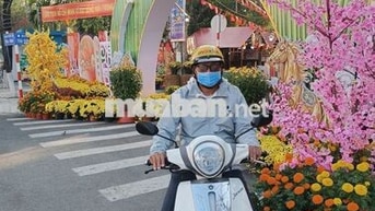 Yamaha Janus Trắng Xe tay ga