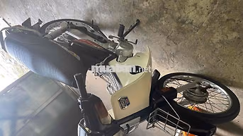 Honda Dream 2000 Trắng
